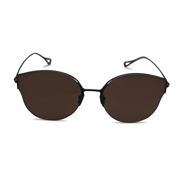 YT0070-Titanium Frame Sunglasses with Lens CR39-2
