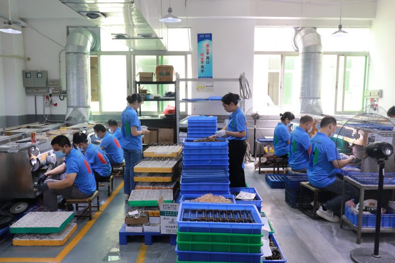 Eyewear manufacturing process in a professional optical factory